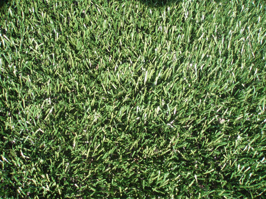 Synthetic Grass Lawn Lawns