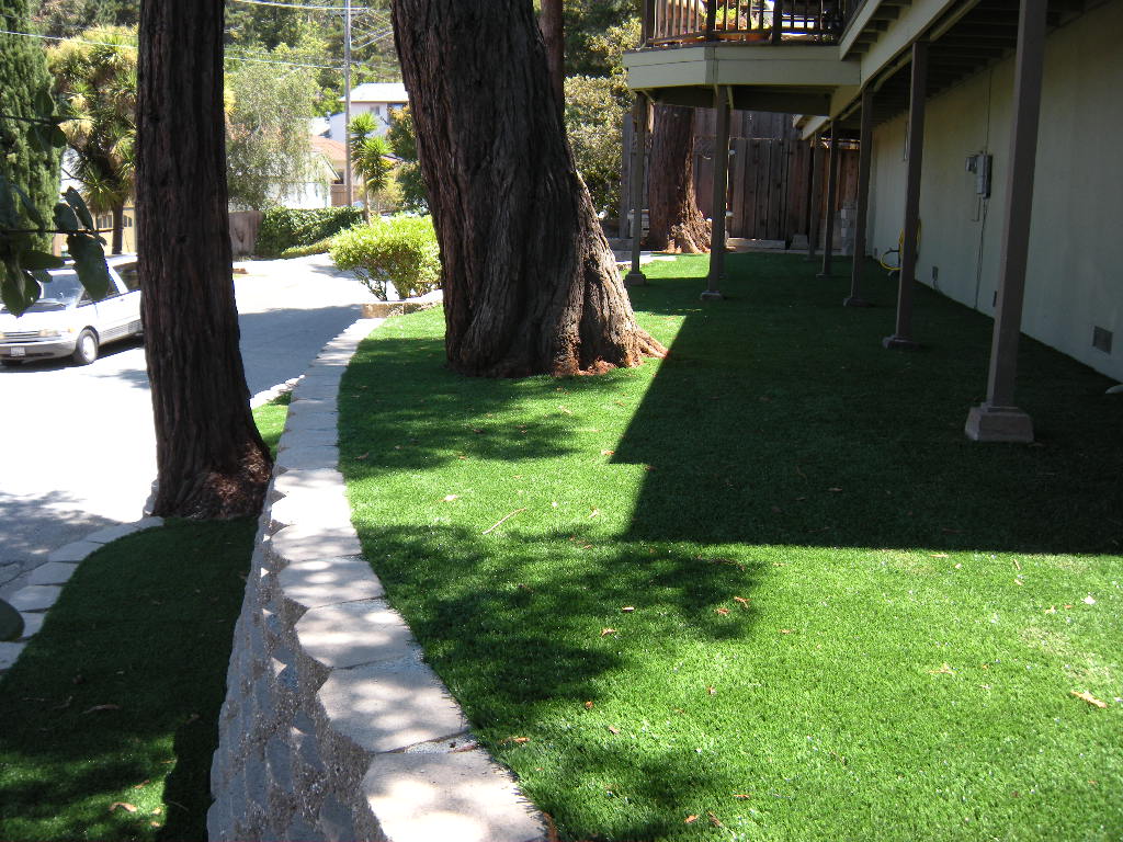 Synthetic Grass San Carlos